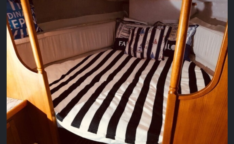 Sterna Muu malli-kuva-2